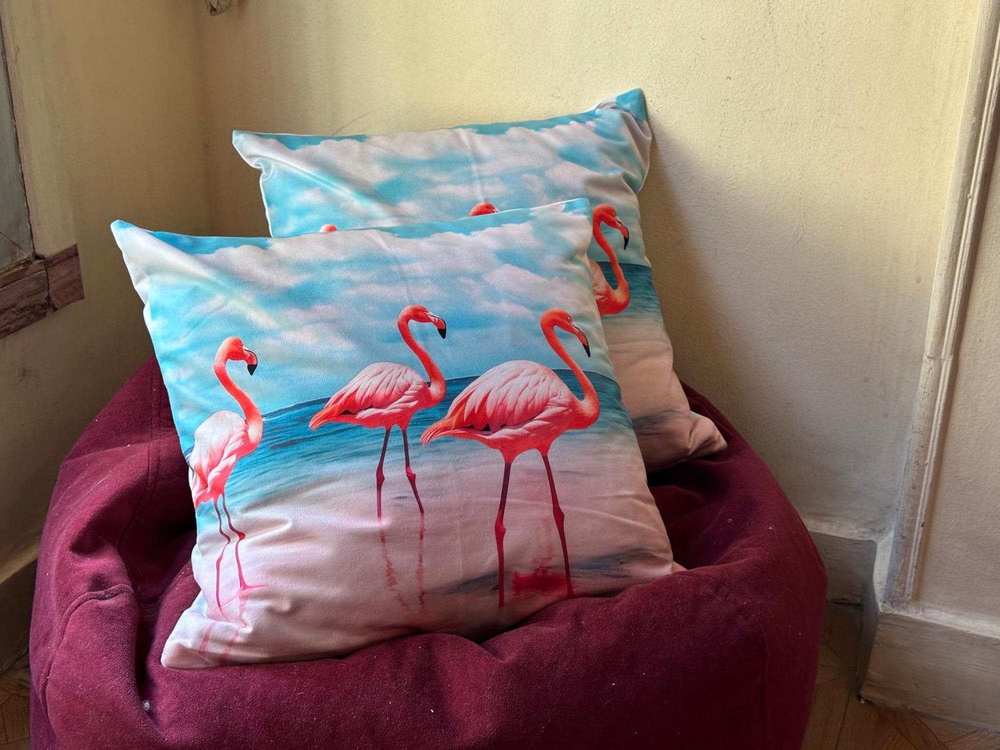 Flamingo 5 Stars Cozy Room - With Ac Κάιρο Εξωτερικό φωτογραφία